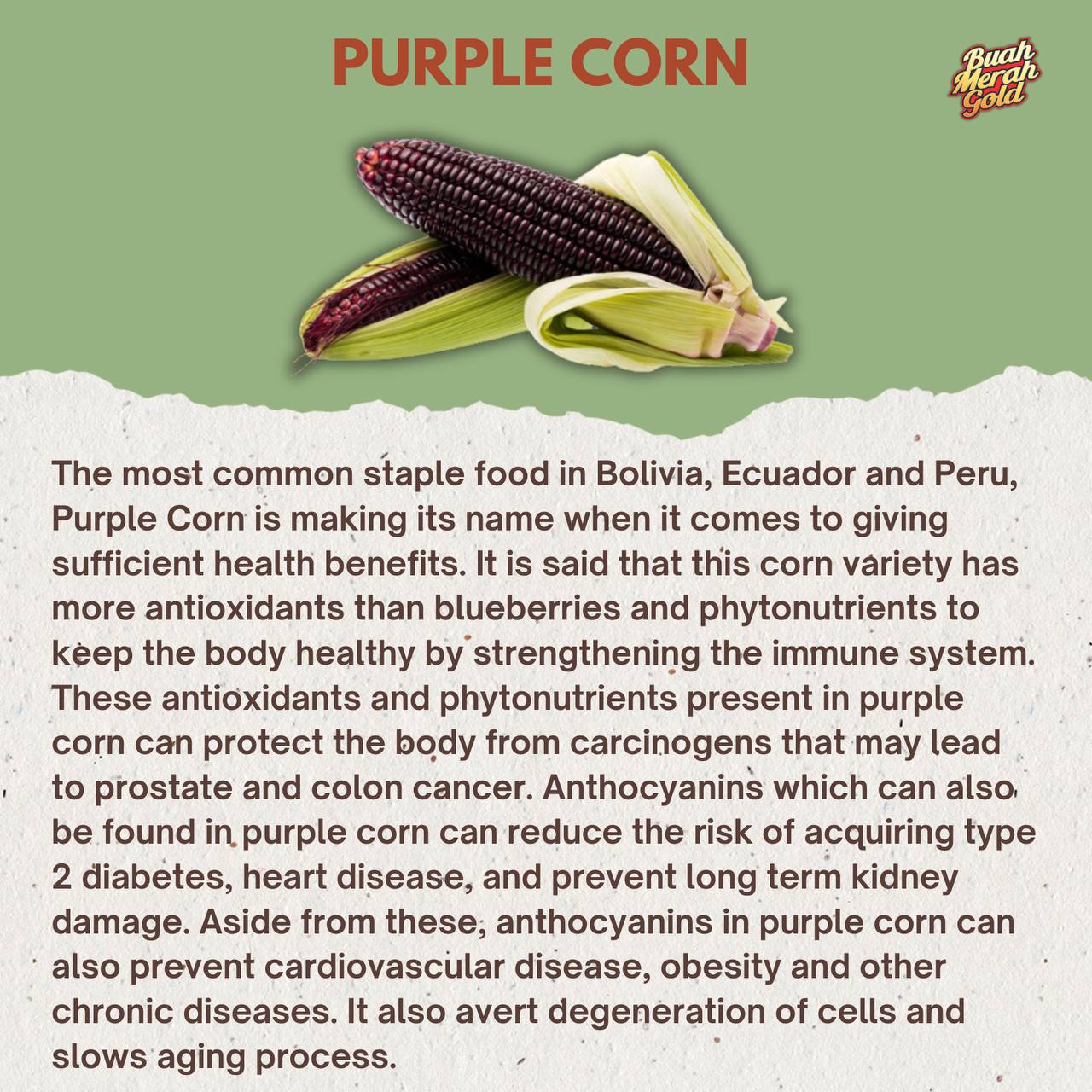 Purple Corn