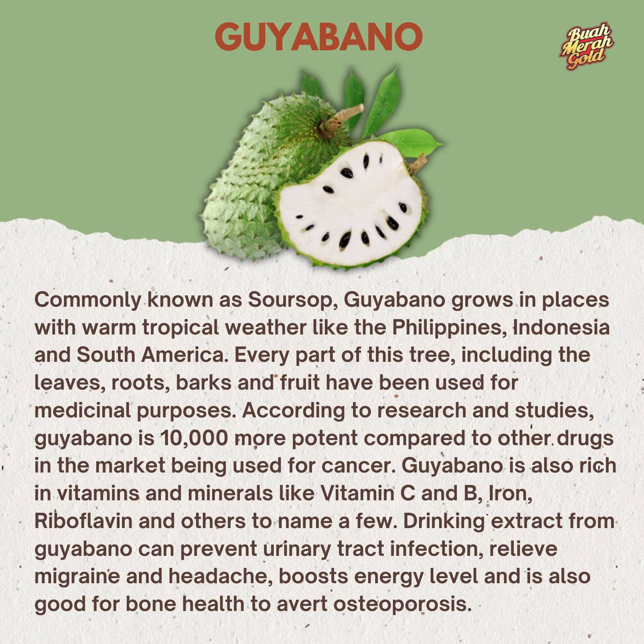 Guyabano