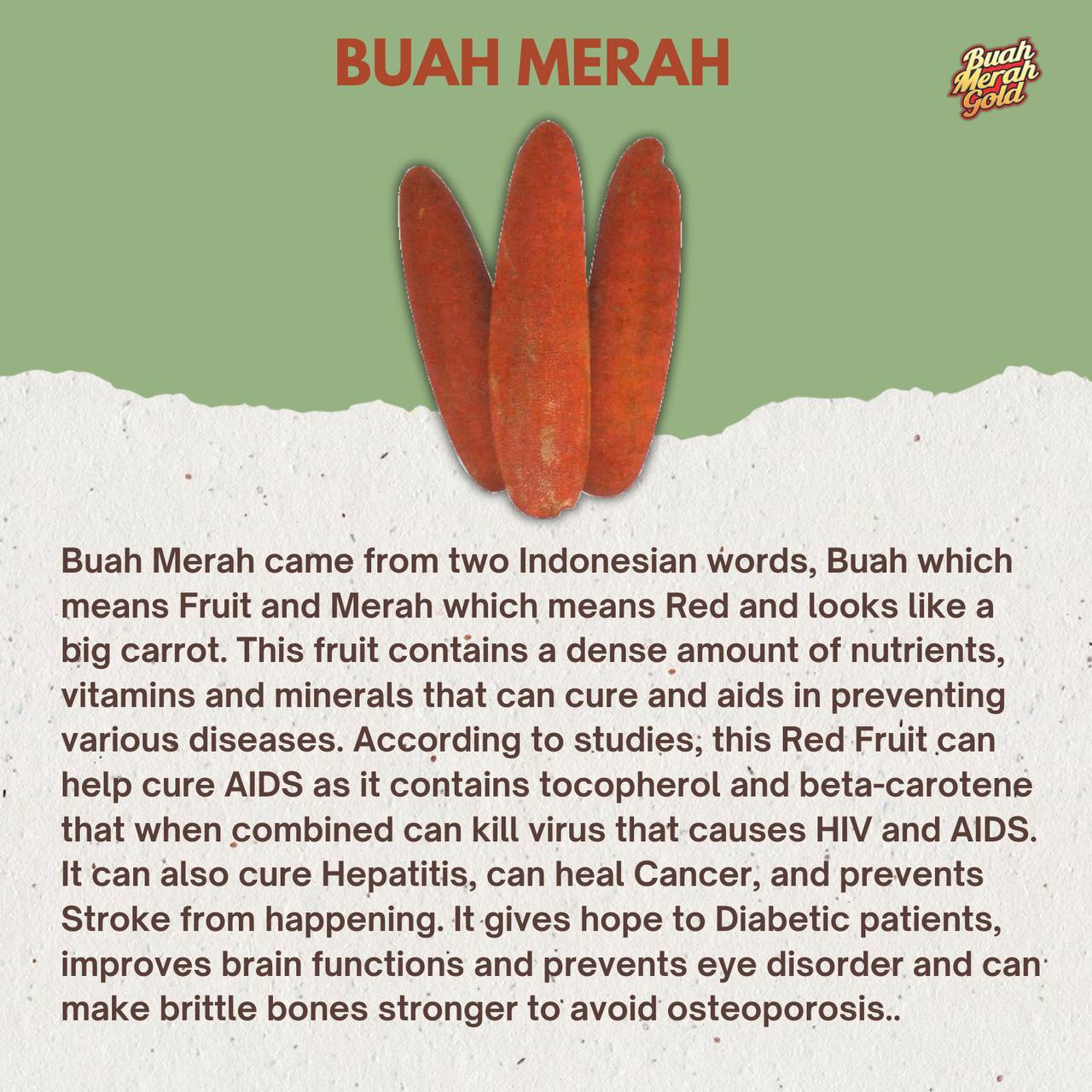 Buah Merah